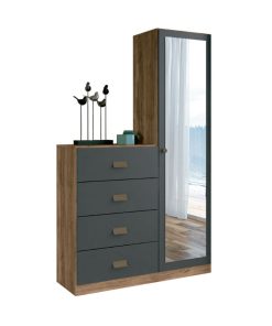 Comoda 4 Cajones 1 Puerta Con Espejo Cajonera Dormitorio Grafito